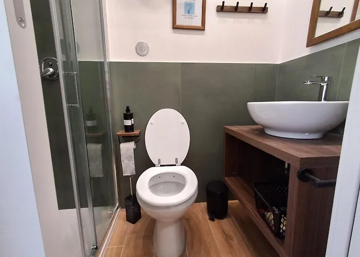 Viola Guest house 4*